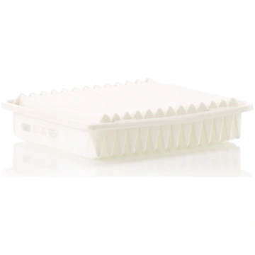 MANN-FILTER Gaisa filtrs C 25 654