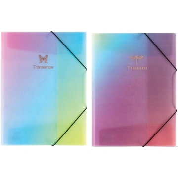 Korpuss ar elastīgu A4 Centrum Glitter Rainbow 883