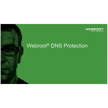 Webroot | DNS Protection with GSM Console | 2 year