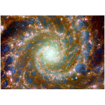 Puzzle Phantom Galaxy Across the Spectrum Enjoy