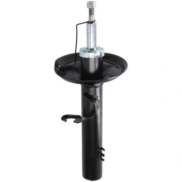 Amortizators MAGNUM TECHNOLOGY AGB081MT