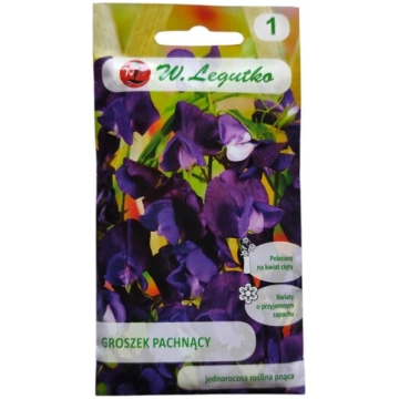 Puķu zirņi smaržīgie, violeti, W. Legutko