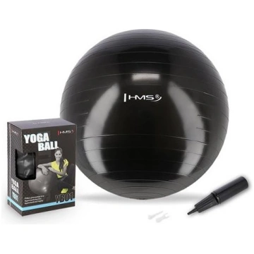 YB01N 55CM BLACK GYM BALL HMS