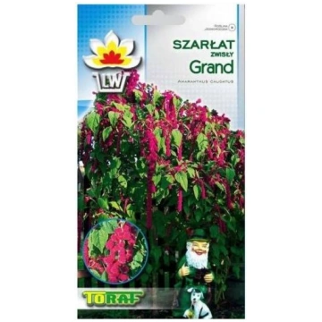 Sēklas Amarants astainais Grand 1g 5907595506465