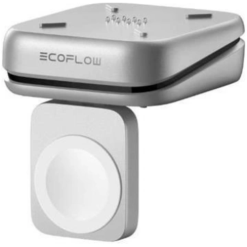 EcoFlow CHARGER MAG BLOCK RAPID PRO X/5019304001