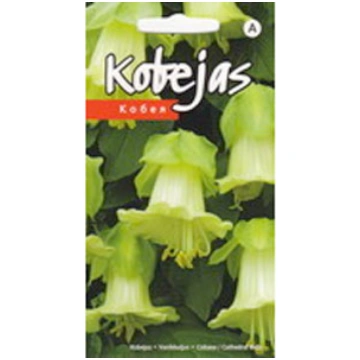 Kobejas baltas KS 5 sēklas