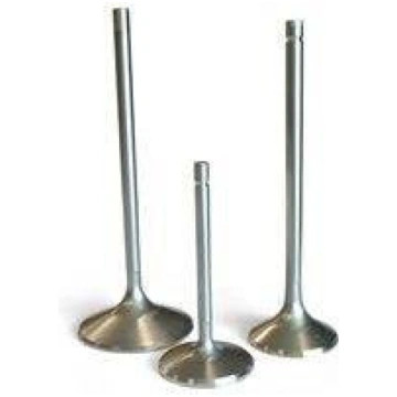 ACURA RSX 2.0L K20 Exhaust Valve - 2001-2006 Model