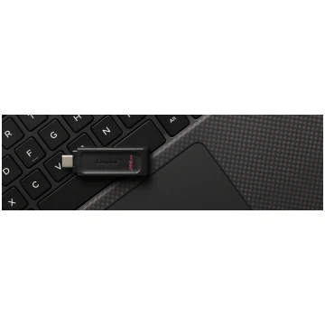 Kingston Technology DataTraveler 256GB USB-C 3.2 G