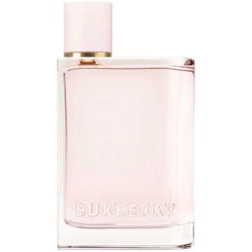 T Burberry Her Edp Aerosols 100ml