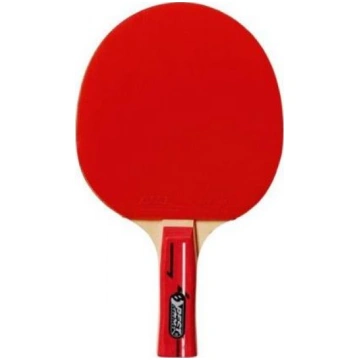 Best Sporting Paletka do tenisa stolowego poziom T