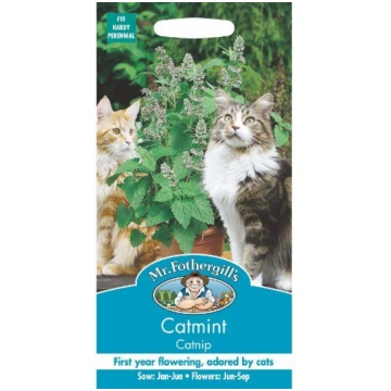 Kaķumētra( Nepeta cataria), 250 sēklas