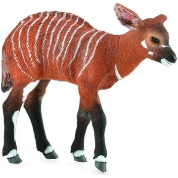 Bongo govs - Collecta
