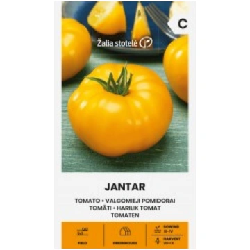 TOMĀTI JANTAR ŽALIA STOTELĖ