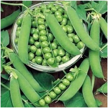ZIRŅI KUDRNAČ 300 g Semo 10/2027 12.04.(1); 14.04.
