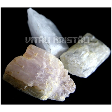 Kuncīts 3 cm 1 gb
