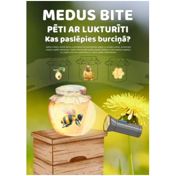MEDUS BITE - PĒTI AR LUKTURĪTI | Kas paslēpies bur