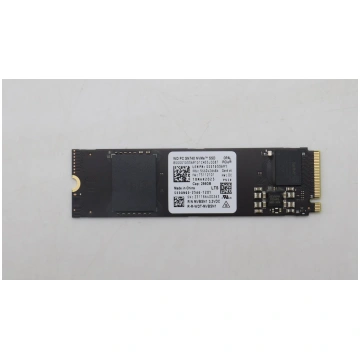 Lenovo 256GB M.2 NVMe SSD with PCIe 4x4 interface 