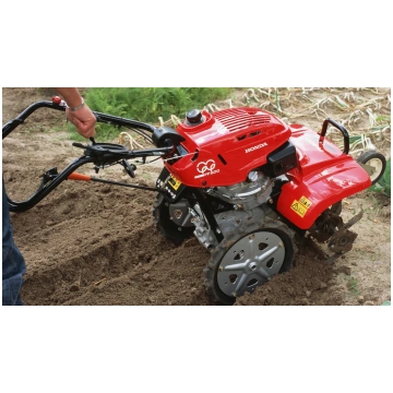 FF 500