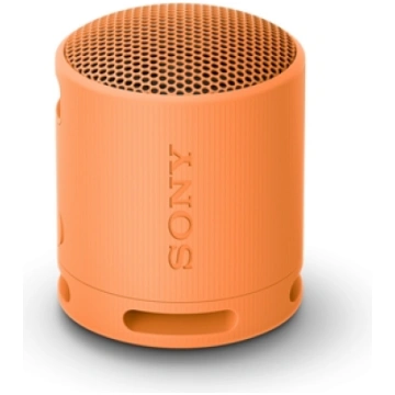 Sony SRS-XB100 - Wireless Bluetooth Portable Speak