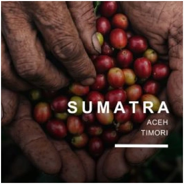 Sumatra Gayo Highland, kafija 500 g
