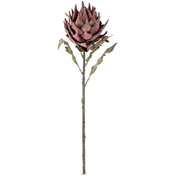 Bloomingville - Protea Stem - izmērs H76CM