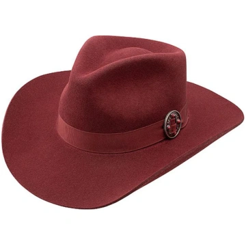 Cowboy Killer Cloud Burgundy Lainey Wilson Charlie