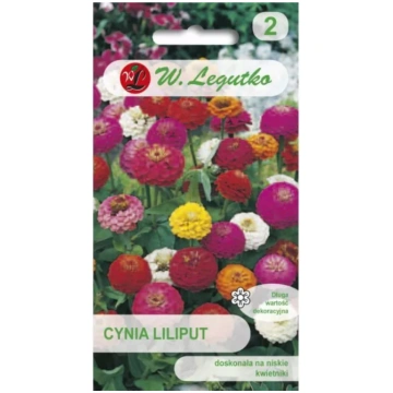 Cynia wytworna Liliput mieszanka W.Legutko uniwers