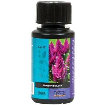 250 ml Amnesia.lt