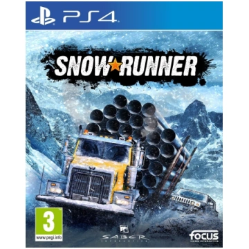 PlayStation 4 (PS4) spēle FOCUS HOME INTERACTIVE S