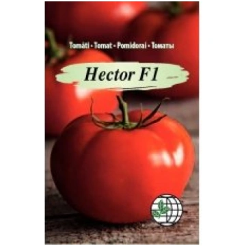Agrimatco Sēklas tomāti Hector F1 10s