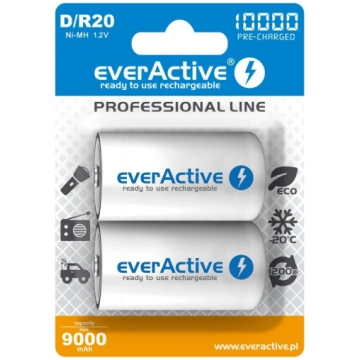 EverActive Professional Line D / R20 10000mAh 2 | 