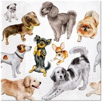 33x33 Suņu laime 20 gab. salvetes Paw