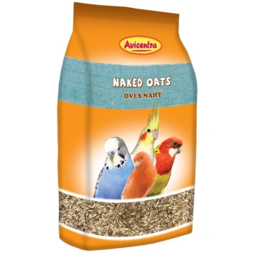 Barība putniem – Auzas lobītas Avicentra, 1 kg