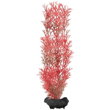 Dekoratīvs augs akvārijam – Tetra Red Foxtail M