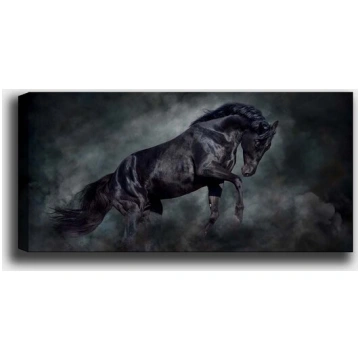 Reprodukcija uz audekla Zirgs, 30x80 cm