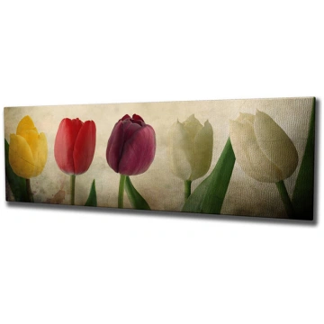 Reprodukcija Tulpes