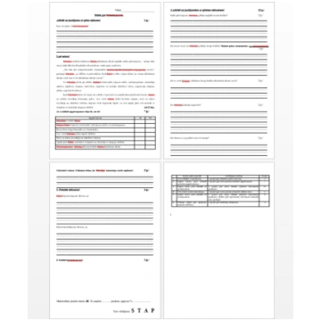 Gada noslēguma darbs LV 2.klase - lasīšana - Mācīb