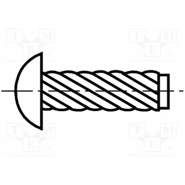 Screw rivet pin; hardened steel; BN 896; L.rivet: 