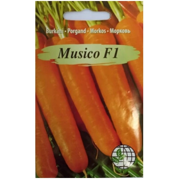 Burkāni Musico F1 Agrimatco
