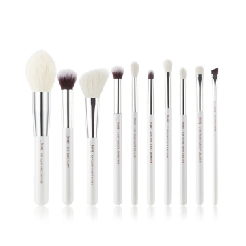 Individual 10Pcs Makeup Brush Set T243