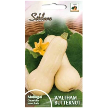 Ķirbji Waltham Butternut sēklas 11gb Sēkluva