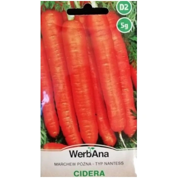 Burkāni CIDERA 5 g WerbAna 9/2026