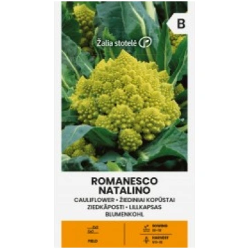 ZIEDKĀPOSTS ROMANESCO NATALINO ŽALIA STOTELĖ