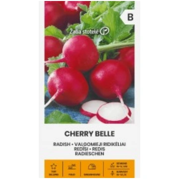 REDĪSI CHERRY BELLE ŽALIA STOTELĖ
