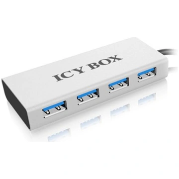 IcyBox Multi Docking Station for Notebooks and PCs
