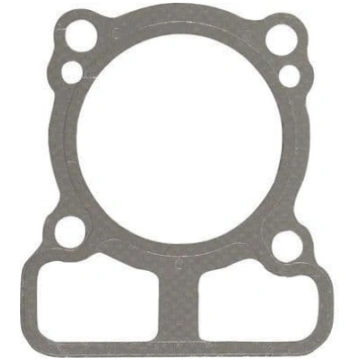 Briggs&stratton Blīve cilindra (793455)