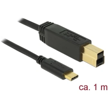 Delock USB 3.1 Gen 2 (10 Gbps) cable Type-C to Typ