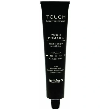 Artego Touch Posh Pomade matu pomāde ar matētu efe