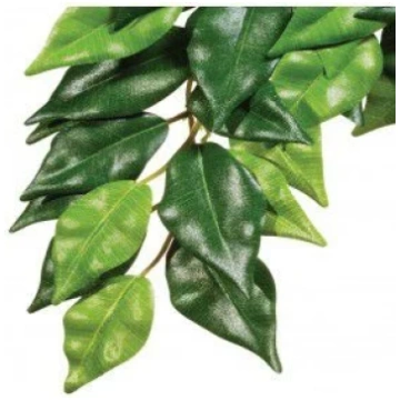 Akvārija dekorācija Exo Terra Ficus 009965, zaļa k
