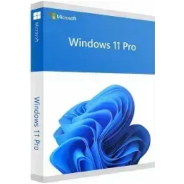 Microsoft Windows 11 Pro ENG Intl USB FPP